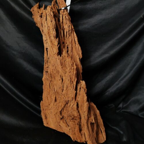Racine de mangrove M012 - 59x23x14cm