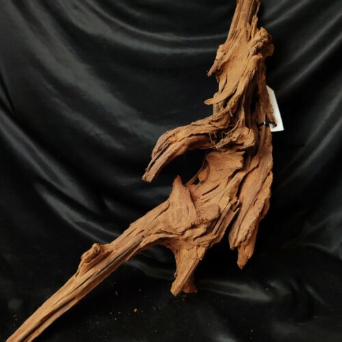 Racine de mangrove M014 - 63x23x13cm