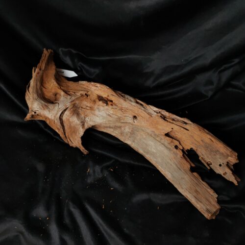 Racine de mangrove M018 - 56x20x17cm