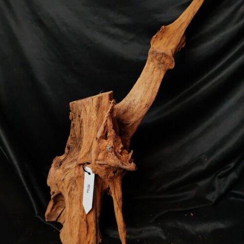 Racine de mangrove M024 - 68x23x17cm