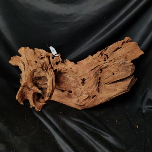 Racine de mangrove M026 - 54x27x22cm