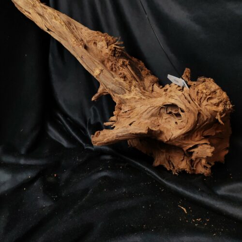 Racine de mangrove M023 - 58x19x18cm