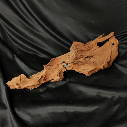 Racine de mangrove M009 - 52x14x12cm