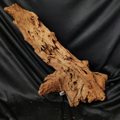 Racine de mangrove M007 - 56x30x15cm