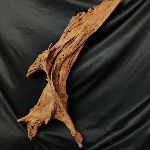 Racine de mangrove M008 - 64x32x14cm