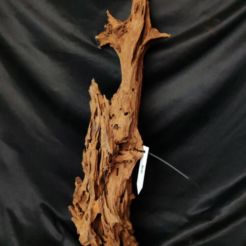 Racine de mangrove M010 - 61x17x14cm