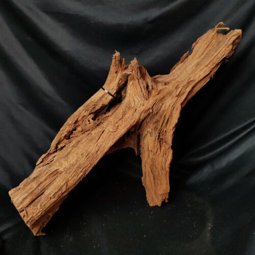 Racine de mangrove M034 - 60x24x27cm