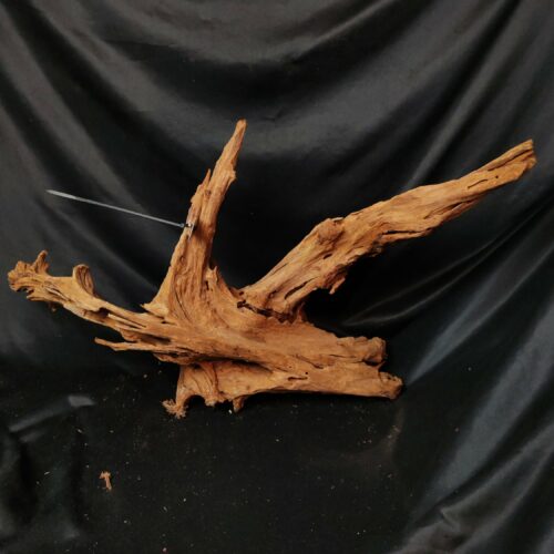 Racine de mangrove M004 - 66x14x35cm