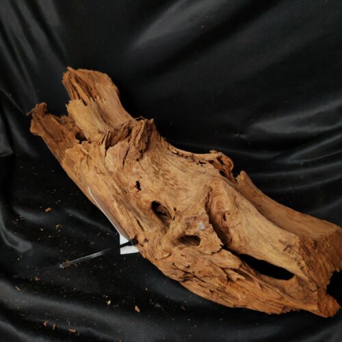 Racine de mangrove M020 - 57x20x15cm
