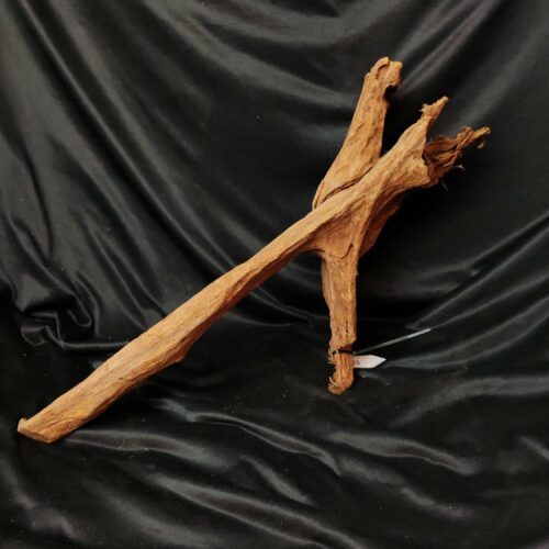 Racine de mangrove M003 - 65x22x16cm